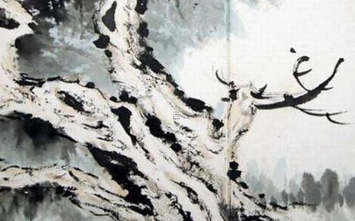 2023年屬虎幾月生比較好男孩,2023年屬虎幾月生比較好男孩女孩 2023年屬虎幾月生比較好男孩,2023年屬虎幾月生比較好男孩女孩