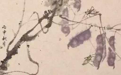 77年屬蛇女人婚姻配什么屬相最佳 77年屬蛇女最配的屬相是什么 77年屬蛇女人婚姻配什么屬相最佳 77年屬蛇女最配的屬相是什么