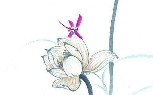 什么是和尚命和尚八字 算命所說的和尚命是什么意思