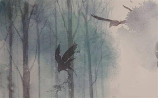 屬蛇客廳放什么花 屬蛇的人房間要放什么花