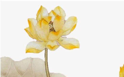 什么八字易得艾滋病 哪種八字容易得癌癥 什么八字易得艾滋病 哪種八字容易得癌癥