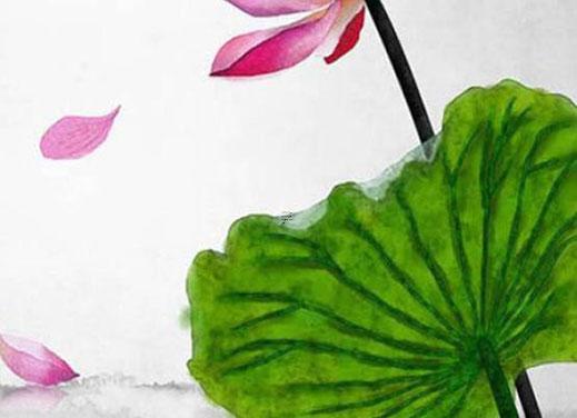 算命說的換人是什么意思 算命里面說的換人是什么意思 算命說的換人是什么意思 算命里面說的換人是什么意思