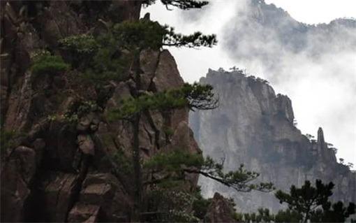 1963年屬兔男最終壽命,1963年屬兔男的壽命多長 1963年屬兔男最終壽命,1963年屬兔男的壽命多長