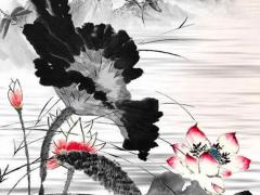 1990年屬馬健康運勢 1990年屬馬年運勢