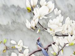 屬虎人虎年運勢2023