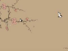 明年本命年可以生孩子嗎,明年本命年可以生孩子嗎女孩