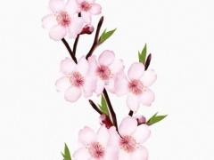 冷落射手女會主動找你 射手女會冷戰多久找你