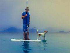 女人面相鴛鴦眼看命運,相學鴛鴦眼