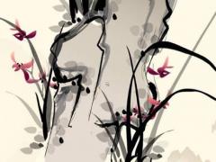 1974年屬虎的啥時(shí)候退休 1974年生哪年退休