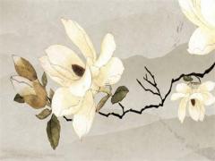 注定要離婚的八字信息 八字要離婚就真的會離婚嗎