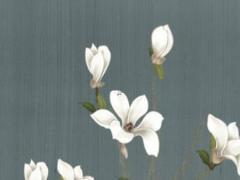 詳細介紹天蝎座 介紹天蝎座星體