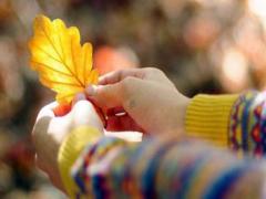 孕婦夢見狗被車撞了還活著 孕婦夢見狗狗受傷沒有流血還活著