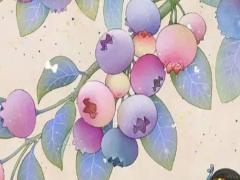 有什么好聽的假名字