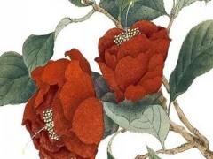 按生辰八字起名應注意什么 按生辰八字起名應注意什么呢