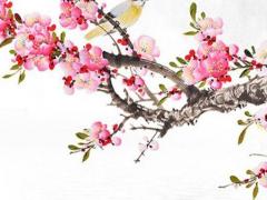 八字中的解神是什么意思 解神能解什么煞