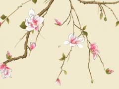 蛇女最佳婚配屬兔男,蛇女配兔男好嗎