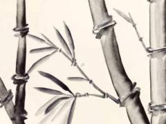 龍跟猴相配嗎 龍和猴屬相配不配