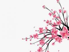 命中婚姻不好如果化解 婚姻命不好怎么辦