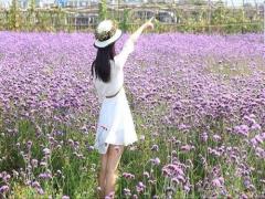 周公解夢右眼上眼跳 右上眼皮一直跳周公解夢女