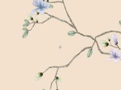 屬鼠射手座O型血男女性格分析和配對(duì) 屬鼠射手座的性格