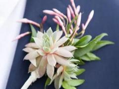 射手座站軍姿的時(shí)候都在想些什么