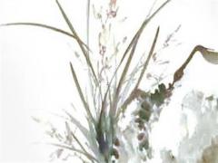 屬龍的是幾幾年出生,2023年屬龍人的全年運勢1988出生