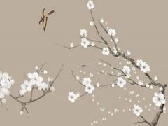 八字身弱原來不是身體不好 八字身弱是身體不好嗎