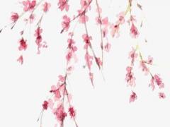 八字水旺有什么特點 八字中水旺的人財運如何