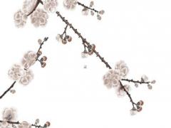 一九八六屬鼠最佳婚配,九八年屬鼠的婚姻搭配