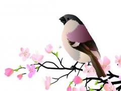 女人什么八字特征能擁有上等婚姻 女人什么樣的八字好