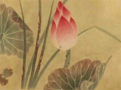 1987屬兔的一生婚姻,1987年屬兔的一生婚姻咋樣