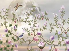 宋詔光肖鼠的每月運程,宋韶光2023年屬鼠每月運程