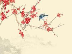 我的出生日八字是什么生肖 我的生辰八字是什么?