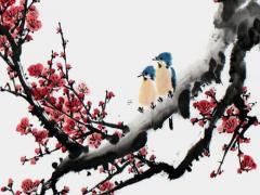 為什么八字腦便宜 什么八字腦子有問題