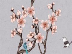 要認(rèn)真貫徹什么八字方針 要貫徹落實(shí)什么八字方針