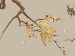 85年屬牛37歲2023婚姻