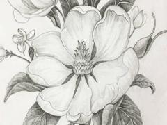 96屬鼠男配哪個屬相最佳,96鼠男配什么最合適