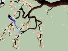 屬兔金牛女2023年運勢