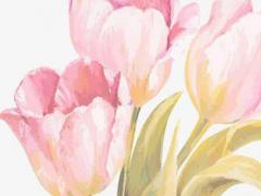 史姓女孩起名字 史姓女孩起名字大全缺水 土