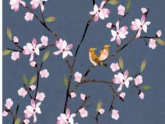 八字年月都為忌神 年月都為忌神的人命運