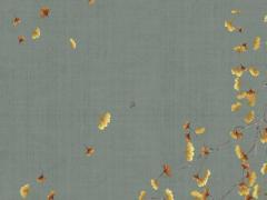 87年屬兔35歲以后的一生命運,屬兔干什么一碰就發(fā)財