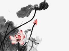 兔本命年腰鏈推薦