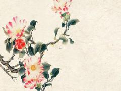 見男方家長送四樣禮物好不好 送禮物的四個禁忌