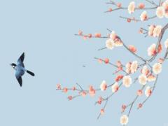 2023年屬猴的學習運勢