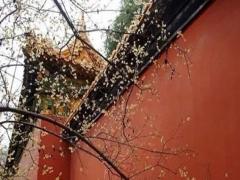 什么八字與佛教有緣 什么八字與佛教有緣關系