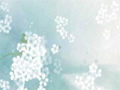 男士屬兔的最佳配偶,男屬兔最配哪幾個生肖