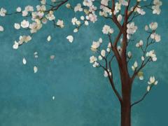 誰會八字算命什么的 誰算八字準