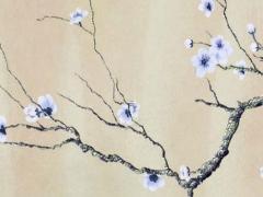 屬鼠家里不宜擺件,屬鼠人家中放什么擺件好