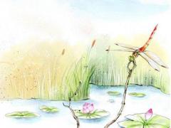 女生好聽(tīng)罕見(jiàn)的英文名海洋女神 海洋有關(guān)的英文名女生