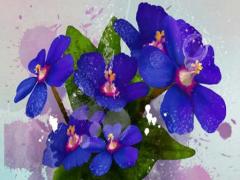 1988年屬龍和兔女相合 男屬兔女屬龍婚姻配嗎1987年1988年